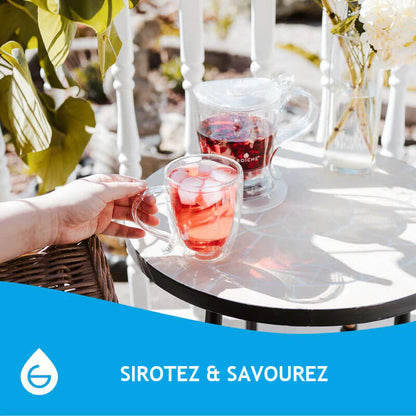 CYPRUS Double Wall Glass Mug – 16oz / 500mL by Grosche