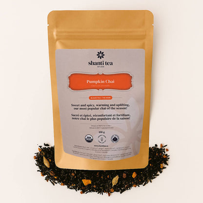Pumpkin Chai 100g Organic Loose Tea  — Seasonal Blend by Shanti Tea (Fall & Winter) — Large Pouch