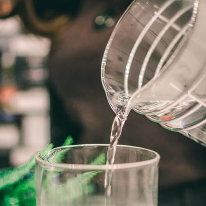 Replacement Beaker for French Press – 1000 mL / 34 oz / 8 cup by Grosche