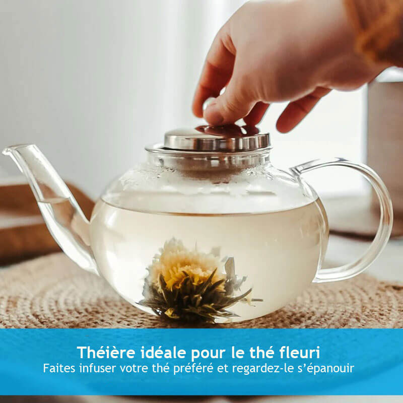 JOLIETTE Glass Teapot with Stainless Steel Tea Strainer – 42oz / 1250mL by Grosche