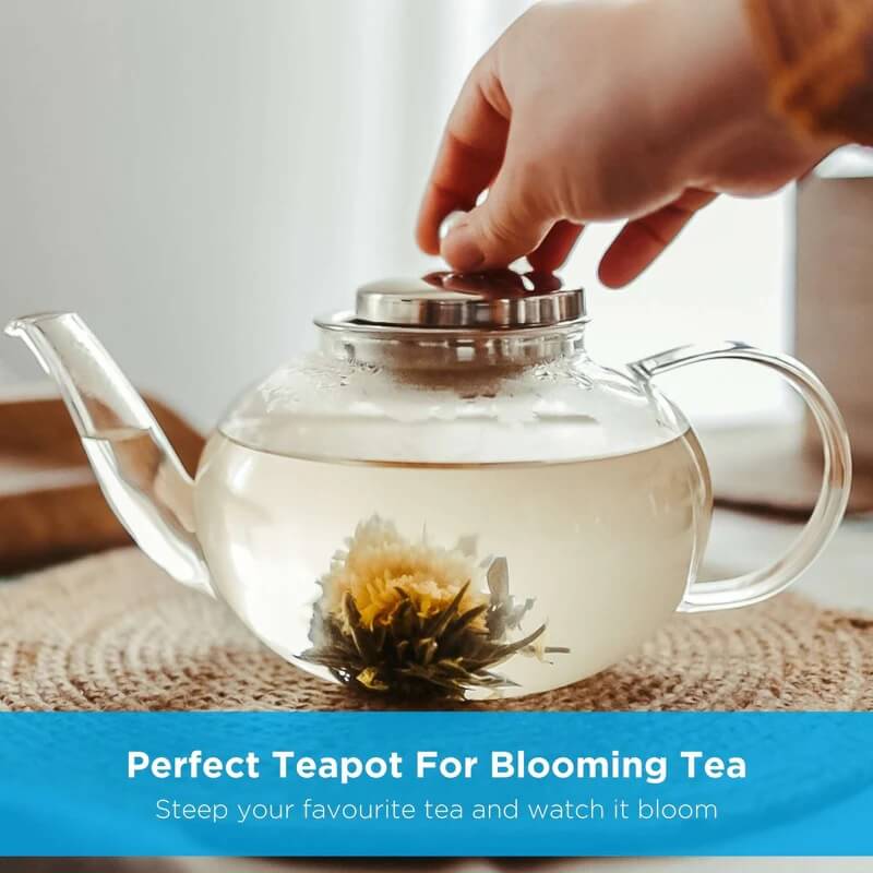 JOLIETTE Glass Teapot with Stainless Steel Tea Strainer – 42oz / 1250mL by Grosche