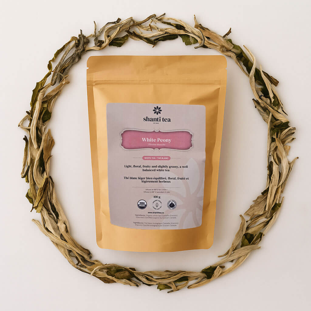 Thé blanc pivoine (Bai Mu Dan) 100 g thé bio en vrac — Thé blanc de qualité supérieure de Shanti Tea — Grand sachet