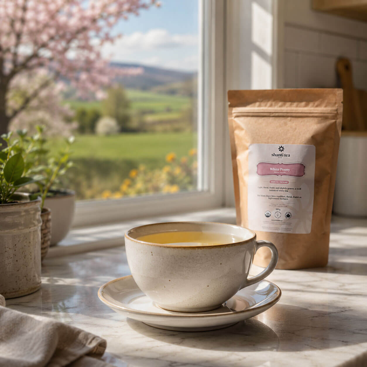 Thé blanc pivoine (Bai Mu Dan)  100 g thé bio en vrac — Thé blanc de qualité supérieure de Shanti Tea — Grand sachet